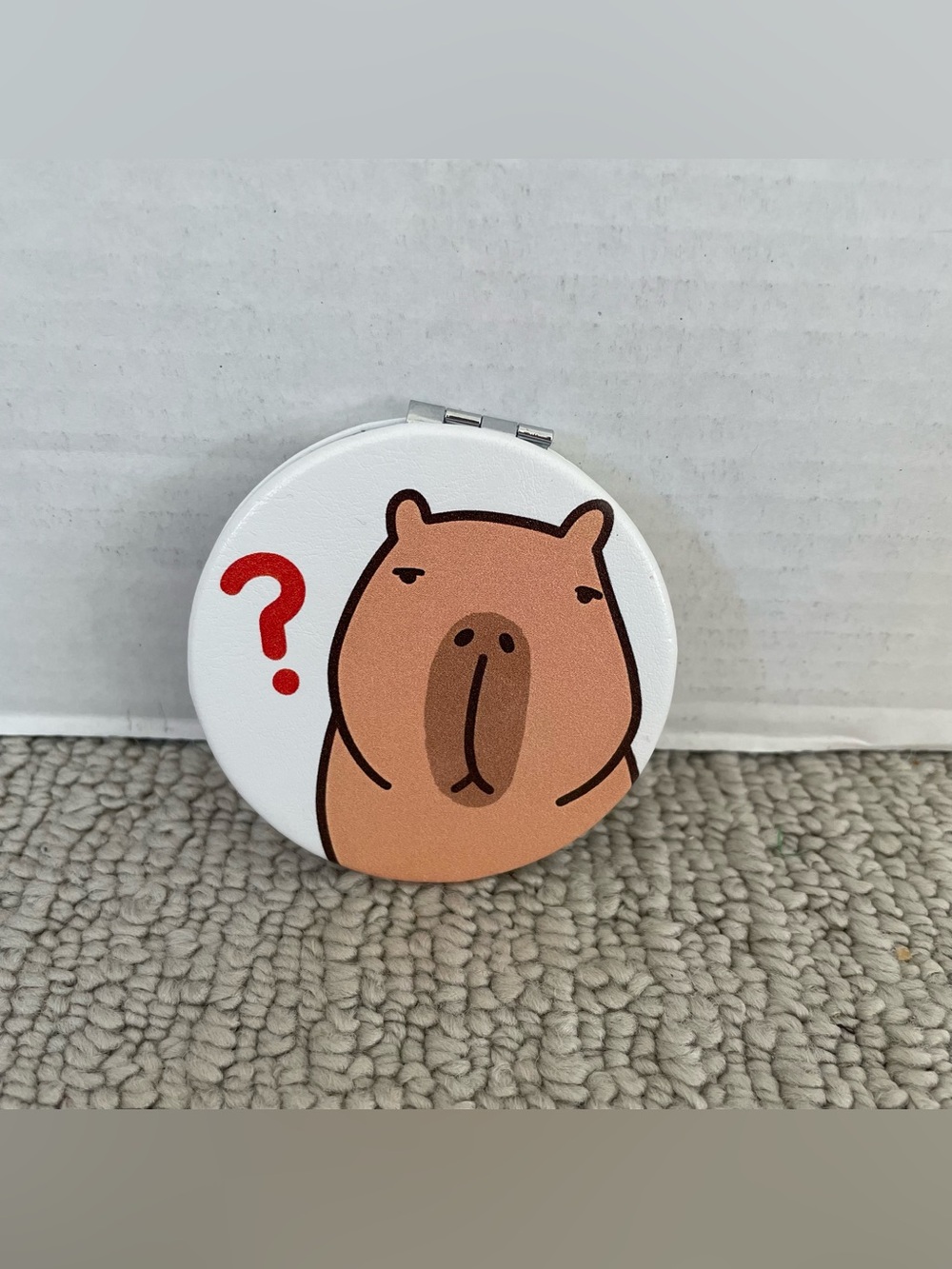 New capybara mirror